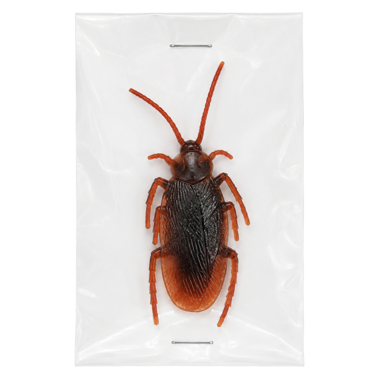 TOY COCKROACH