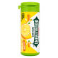 DOUBLEMINT TUBE image 4