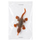 TOY LIZARD image 2