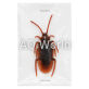 TOY COCKROACH image 2