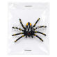 TOY INSECTS image 3