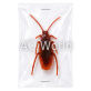 TOY INSECTS image 4
